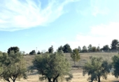 Urban land for sale on España, Monforte del Cid, ref: TR403291 photo