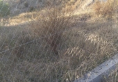 Non-developable land for sale on España, Molvízar, ref: TR411779 photo