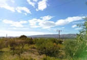 Detached villa with land for sale on España, Ontinyent, ref: TR411780 photo