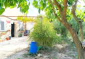 Detached villa with land for sale on España, Ontinyent, ref: TR411780 photo