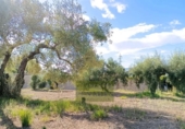 Detached villa with land for sale on España, Ontinyent, ref: TR411780 photo