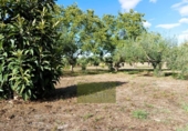 Detached villa with land for sale on España, Ontinyent, ref: TR411780 photo