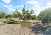 Detached villa with land for sale on España, Ontinyent, ref: TR411780 photo