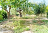Detached villa with land for sale on España, Ontinyent, ref: TR411780 photo