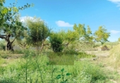 Detached villa with land for sale on España, Ontinyent, ref: TR411780 photo