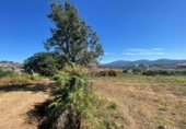 Rural estate for sale on España, O Porriño, ref: TR296822 photo