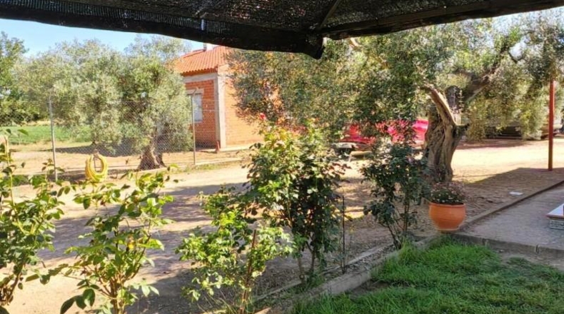Badajoz - Guareña - 3700m2