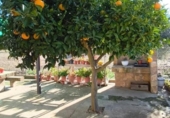 Земельный участок на продажу в городе Гуаренья Фото