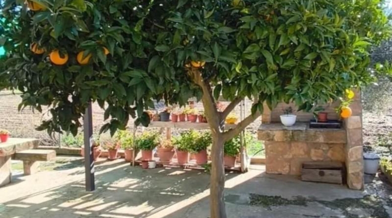 Badajoz - Guareña - 3700m2