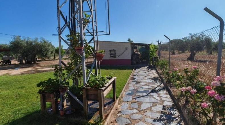 Badajoz - Guareña - 3700m2