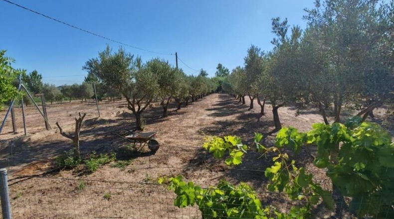 Badajoz - Guareña - 3700m2