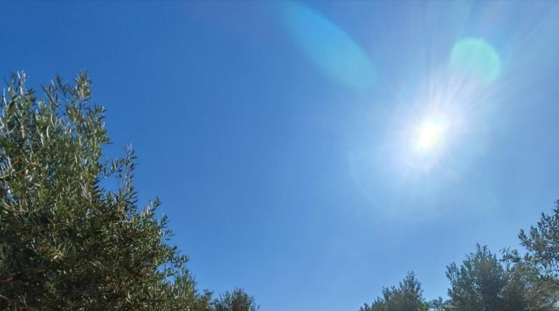 Badajoz - Guareña - 3700m2