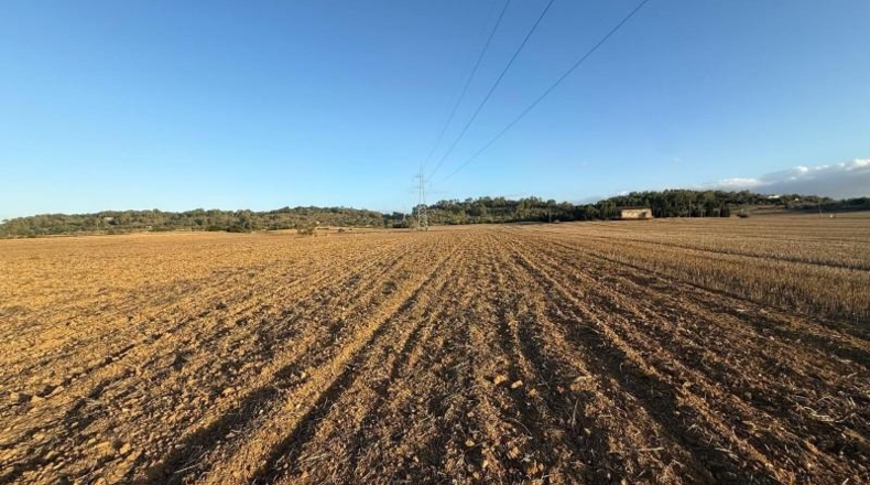 Islas Baleares - Maria de la Salut - 23500m2