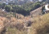 Terreny no urbanitzable en venda a la España, Campo-Mijas, ref.: TR411785 foto