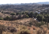 Terreny no urbanitzable en venda a la España, Campo-Mijas, ref.: TR411785 foto