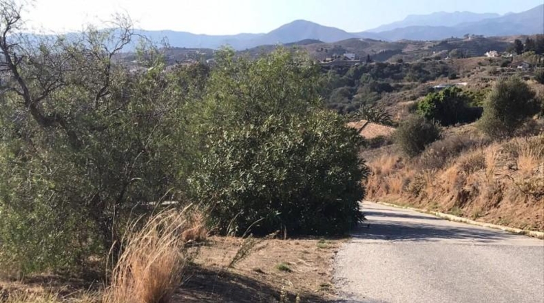 Málaga - Campo-Mijas - 14702m2
