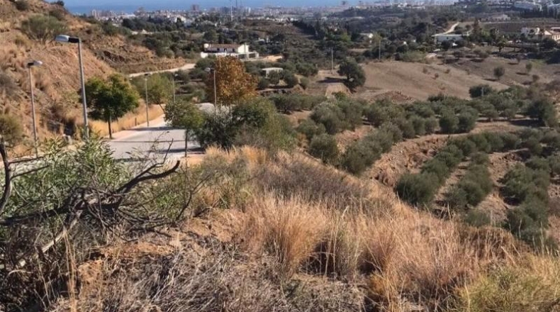 Málaga - Campo-Mijas - 14702m2