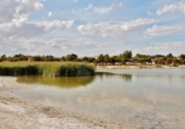 Detached villa with land for sale on España, Villafranca de los Caballeros, ref: TR152259 photo