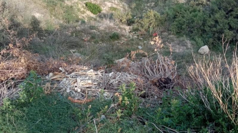 Alicante - Muchamiel - 938m2