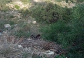 Sòl urbà en venda a la España, Mutxamel, ref.: TR124993 foto