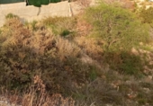 Sòl urbà en venda a la España, Mutxamel, ref.: TR124993 foto