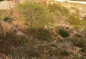 Sòl urbà en venda a la España, Mutxamel, ref.: TR124993 foto