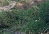 Sòl urbà en venda a la España, Mutxamel, ref.: TR124993 foto