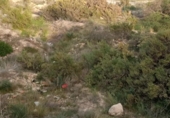 Sòl urbà en venda a la España, Mutxamel, ref.: TR124993 foto