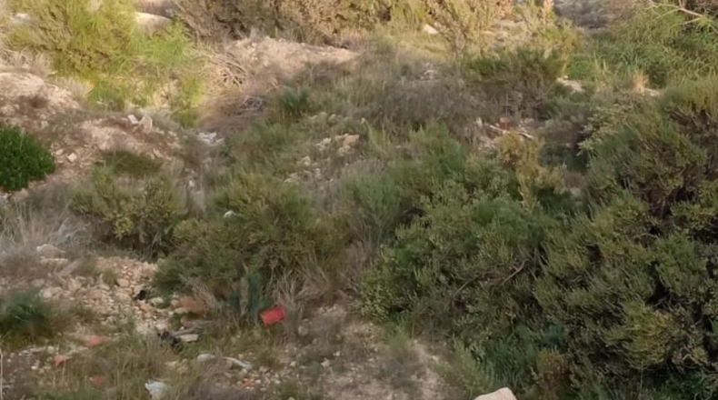 Alicante - Muchamiel - 938m2