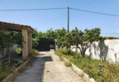 Country house with land for sale on España, Chiclana de la Frontera, ref: TR236672 photo