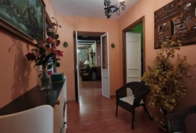 Foto 20