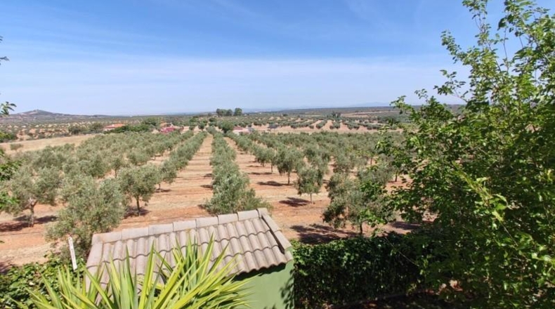 Badajoz - Guareña - 2800m2