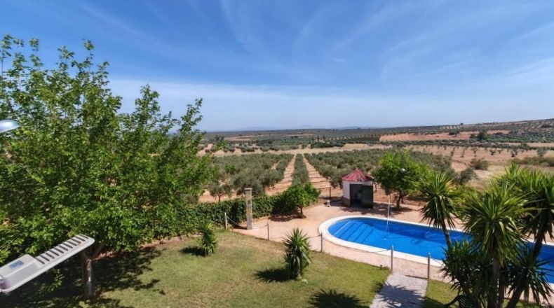 Badajoz - Guareña - 2800m2