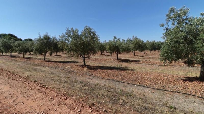 Badajoz - Guareña - 2800m2