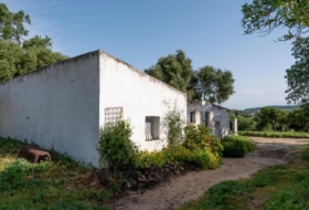 Barbate 12000&nbsp;м²