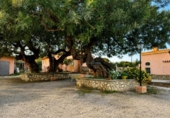 Detached villa with land for sale on España, Ontinyent, ref: TR411798 photo