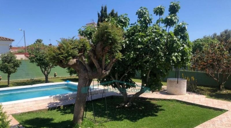 Castellón - Castelló de la Plana - 300m2
