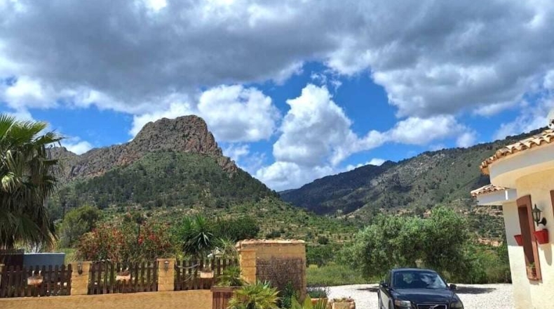 Alicante - Relleu - 17695m2