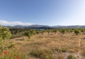 Detached villa with land for sale on España, Arenas del Rey, ref: TR411810 photo