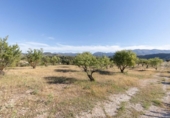 Detached villa with land for sale on España, Arenas del Rey, ref: TR411810 photo