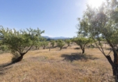 Detached villa with land for sale on España, Arenas del Rey, ref: TR411810 photo