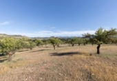 Detached villa with land for sale on España, Arenas del Rey, ref: TR411810 photo