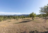 Detached villa with land for sale on España, Arenas del Rey, ref: TR411810 photo