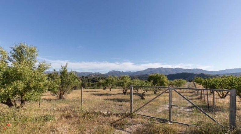 Granada - Arenas del Rey - 26618m2