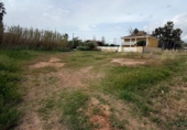 Detached villa with land for sale on España, Castelló de la Plana, ref: TR407003 photo