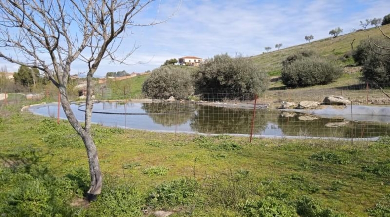 Burgos - San Martín de Rubiales - 70000m2