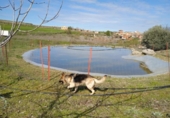 Земельный участок на продажу в городе San Martín de Pusa Фото