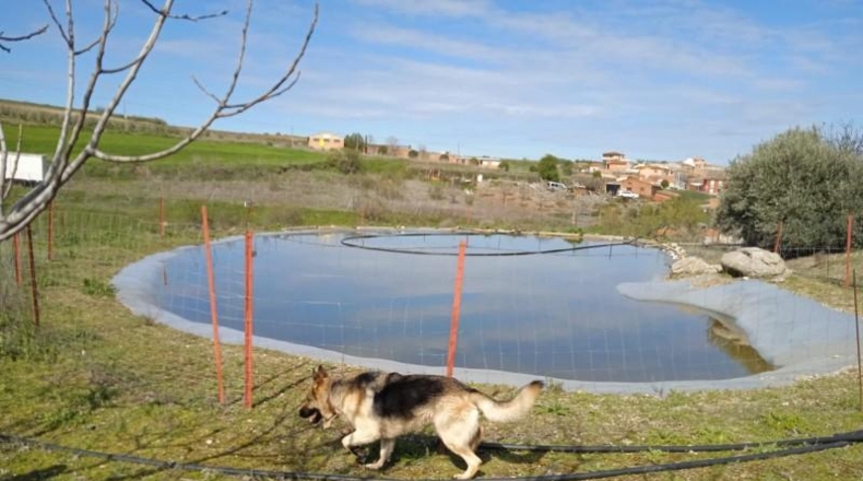 Burgos - San Martín de Rubiales - 70000m2