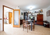 Detached villa with land for sale on España, Santa Susanna, ref: TR411824 photo