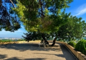 Detached villa with land for sale on España, Ontinyent, ref: TR411825 photo